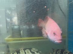 -阳光码头海鲜火锅(世纪大道店)