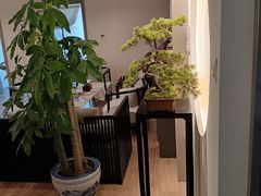 -席仁堂推拿按摩脊柱调理(世纪科贸大厦店)