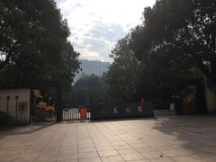 -小杨生煎(黄河路店)