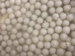 -渔中舟海鲜大排档(普陀沈家门店)