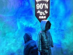 -海合安武汉极地海洋公园