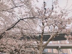 -上海南浦大桥长途旅游客运站