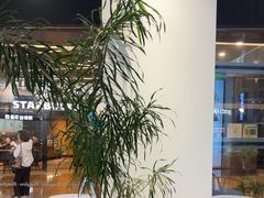 -Blueglass酸奶(财富购物中心店)