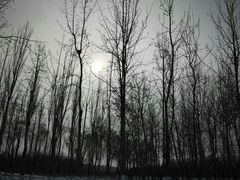 -大兴滨河森林公园