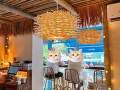景观位-PAPAYA泰国街头小吃(南山路店)