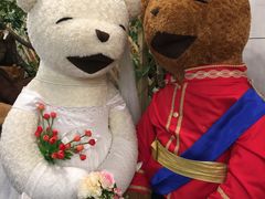 -济州岛泰迪熊博物馆