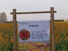 -中国天府农业博览园