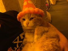 -Sirena海妖日咖夜酒