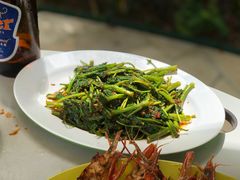 马来风光-纽顿熟食中心