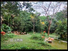 -深圳野生动物园