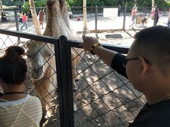 -长白岛森林公园