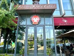 -了不起的考拉咖啡店(高新店)