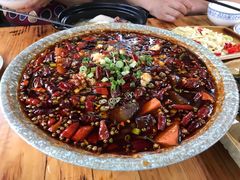 -青城甲(青城山店)