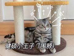 -Catmate·猫肥家润(金润铂宫店)
