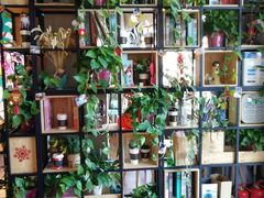 -ZING COFFEE 镜咖啡