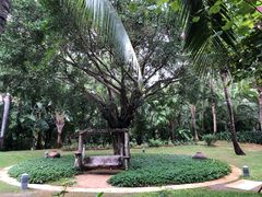 -三亚湾海居铂尔曼度假酒店