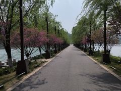 -南北湖风景区