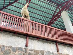-丫沙底瀑布温泉