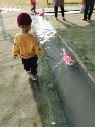 -上美四季动物农场