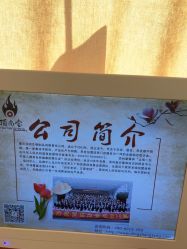 -顶尚堂白发脱发养发