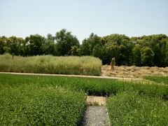 -同里国家湿地公园