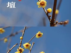 -月坛公园