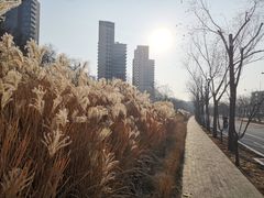 -阿那亚第一食堂 Cafeteria 1