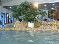 -山湖温泉
