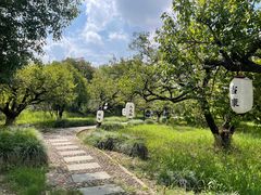 -白马涧龙池景区