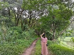 -仙湖旅游度假区