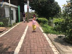 -长洲岛