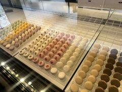 -BLACKSWAN黑天鹅(环球店)