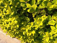 -物美(北沙滩店)