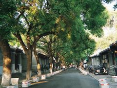 -北京国子监胡同