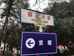 -武汉大学-樱园