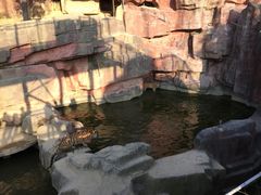 -无锡动物园·太湖欢乐园