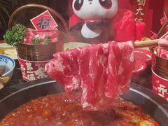 -蜀大侠火锅(总府路店)