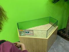 -昆明大悦城未来动物城(螺蛳湾中心店)
