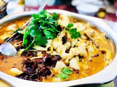 -何哥鲜鱼餐厅(龙湖花园店)