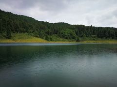 -武陵山森林公园