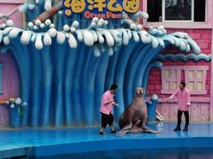 -华夏文旅海洋公园