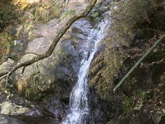 -东天目山风景区