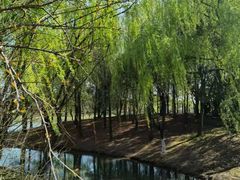 -尚贤河湿地