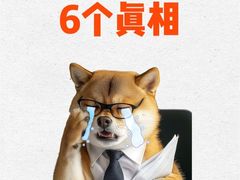 -点石家装(总部旗舰店)