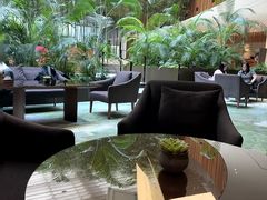 -北京望京凯悦酒店The Lounge大堂酒廊