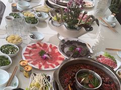 -枇杷园食为鲜火锅(南山店)