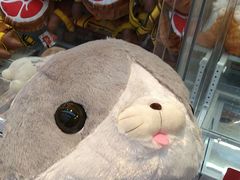 -LLJ夹机占(正佳广场店)
