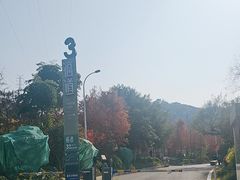 -福道