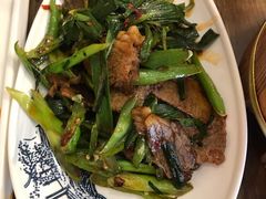 川香牛肉回锅-伊兰麒兰馨园·川菜·清真馆(339电视塔店)