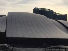 -合肥大剧院